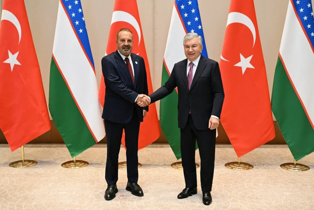 Aksa Enerji to manage power grids in Tashkent, Jizzakh and Syrdarya regions after presidential talks