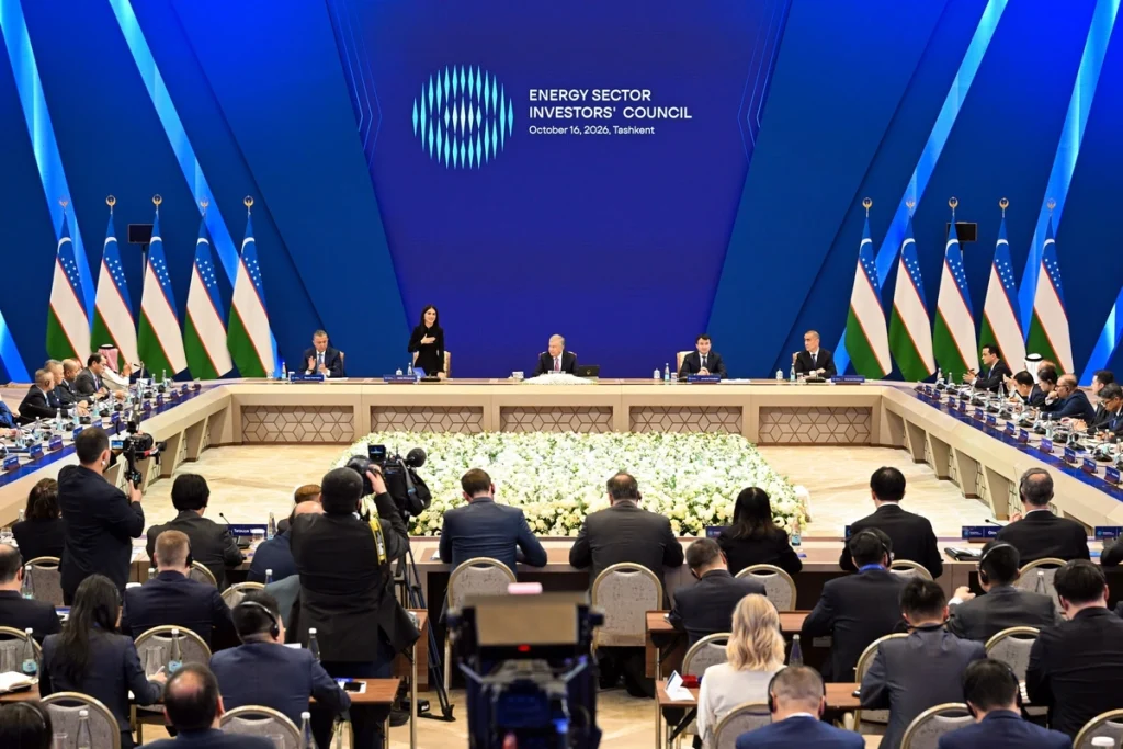 Saida Mirziyoyeva Named to Chair New Energy Investors’ Council as President Cites Corruption and Bureaucracy Saida Mirziyoyeva to chair Investors' Council in energy sector of Uzbekistan