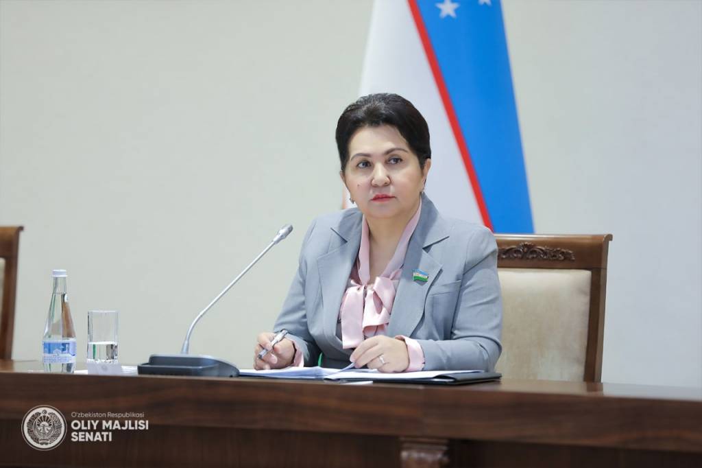 Senate Speaker: Over 301 Billion Soum Stolen From Budget Institutions in 2020